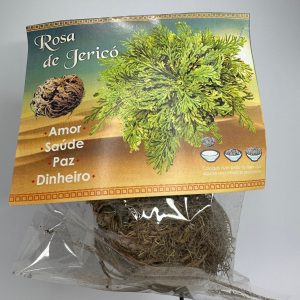 Rose of Jericho