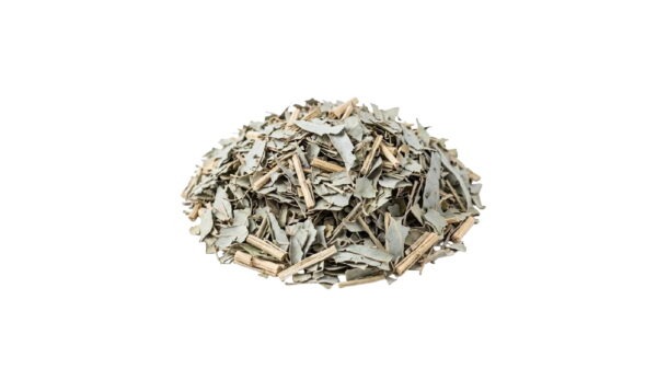 Eucalipto: Purificação 10gr